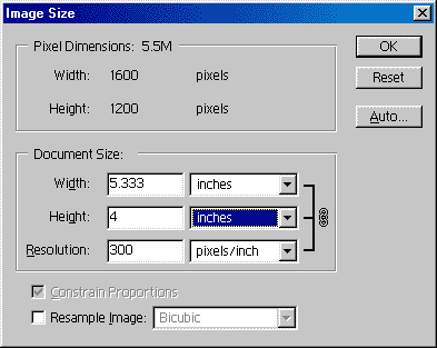 Starting with an image size of 1600 x 1200, the pixel dimensions can be halved to 800 x 600 and the file size will reduce to a quarter of its former value.